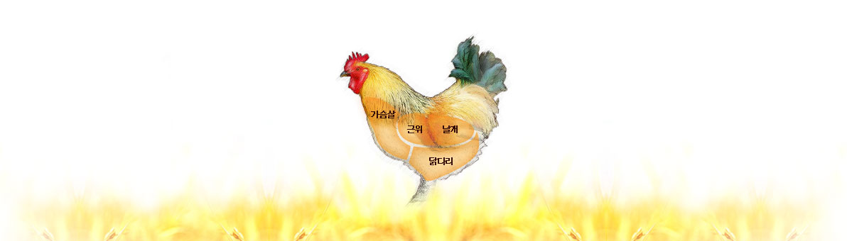 닭고기 부위 사진